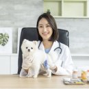 가좌동물병원 이미지