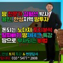 경기 안성시 지역개발호재 안성맞춤 돈 되는 투자분석 이미지