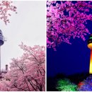 경인동물농장 이미지