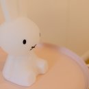 가평 봄 키즈 스파 가족 펜션 이미지