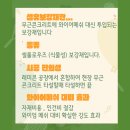 섬유보강재 ( 와이어메쉬 대체용 ) 무근콘크리트첨가재 이미지