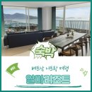 굴러굴러당구클럽 | 나트랑 아기랑 알마리조트 조식 마트 수영장 키즈클럽