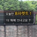 삼은농장 Daum카페