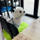 이스턴 코스트