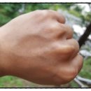 전산옥민박 이미지