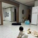 철든포차 | 30대 시작한 아진이엄마