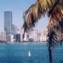 마이애미 이미지