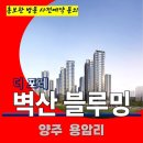 양주 벽산 블루밍 더 포레 민간 임대 아파트 특별공급 타입별 공급 가격 문의 대표번호 주택 홍보관 방문 사전예약 안내 이미지