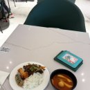 우리타워여행사주 | [🇯🇵] 생일을 행복하게 보내고 싶은 욕망의 도쿄 여행 (with. 워홀부)