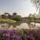 수원-0422 네이버블로그