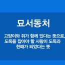 묘서동처 이미지