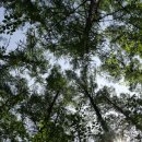 고산골 4 이미지