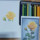 색연필드로잉 이미지