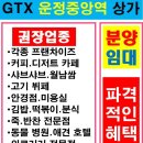 서래태권도 이미지