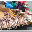 영랑동 등대 이미지