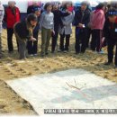 버섯마을 이미지