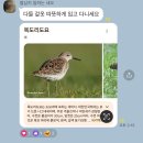 동성동물약품 | 2024.12.12 ~ 2024.12.22