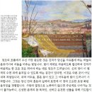 하나님의 사랑 God's Love, 종려주일 , 예수님께서 예루살렘에 입성하시다, 이미지