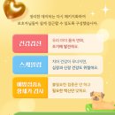 문막동물병원