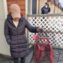 독도바다낚시터 이미지