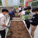 공존의 행복 이미지