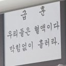네코마루