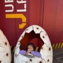 (주) 서울랜드 이미지