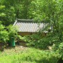 백운로(도산면) 이미지