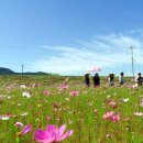 청미천 3 이미지