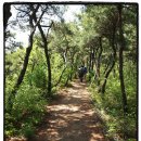 다정한이웃 이미지