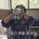 김치만선생 이미지