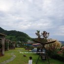 정들고펜션2 이미지