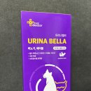 벨라펫 | 고양이 방광염 신장영양제 마이닥터펫 유리나벨라 급여 후기