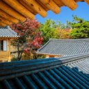 정수초등학교 이미지