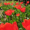 이야펜션 이미지