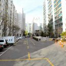 금낭화로23길 이미지