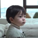 말랑콩떡 이미지