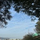 호계로 291번길 이미지