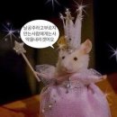 GS25중동서흥점 | [25.05.06] 홀로 뚜벅이 공주 여행 일지 1일차