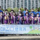 평화황토 이미지