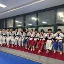송천경희대태권도 이미지