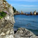 동해바다 이미지