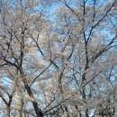 도봉야영장 | [도봉산] Y계곡 정복기: "내 다리 내놔!" 소리 나오는 죽음의 계단과 아찔한 손맛!