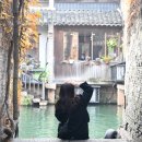 수향정 | 상하이 우전 수향마을 당일치기 대신 1박, 우전 홈스테이 60 물가근처 숙박 후기