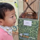 월곶어울림센터 이미지