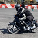 왈왈스쿨 이미지