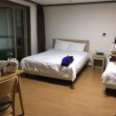 더블루 제주 | [제주도] 숙박 이용 후기
