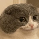 스테이백촌