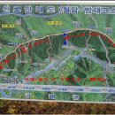 밤재마을 앞 이미지