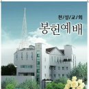 조광상사 이미지